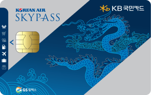 스카이패스 KB국민 플래티늄카드