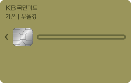 KB국민 가온 부울경카드