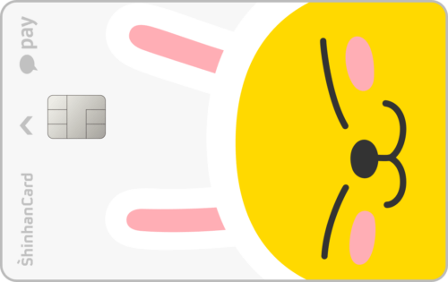 스포츠바우처 카카오페이 신한 체크카드