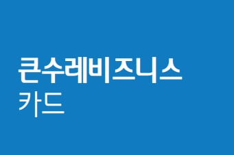 큰수레 비즈니스 카드(하나카드)