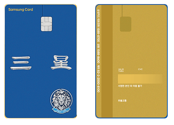 한자 올드(한정판 메탈)